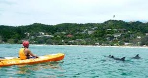 Kayaks